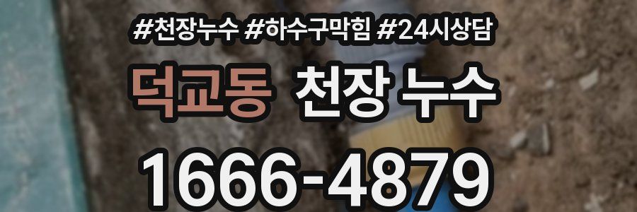 덕교동 천장 누수