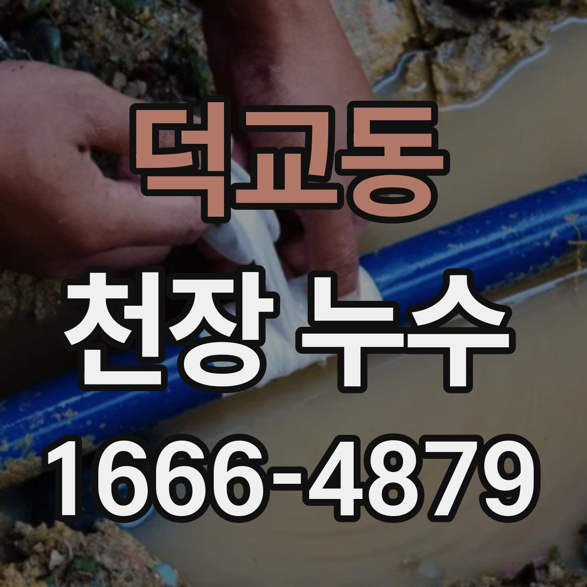 덕교동 천장 누수