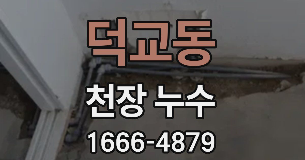 덕교동 천장 누수