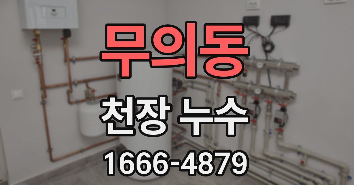 무의동 천장 누수