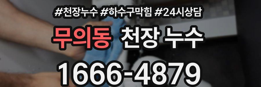 무의동 천장 누수