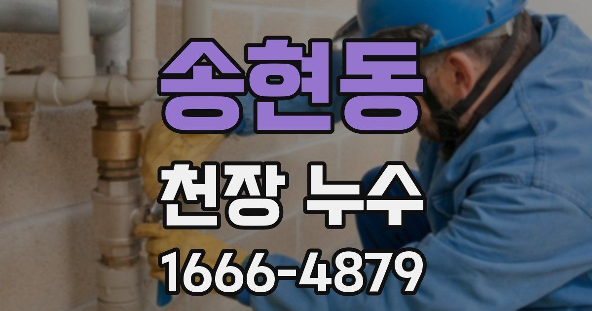 송현동 천장 누수