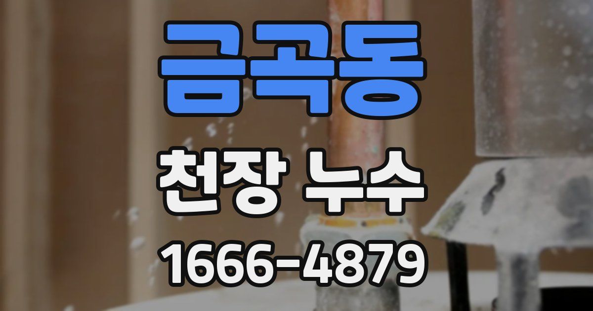 금곡동 천장 누수