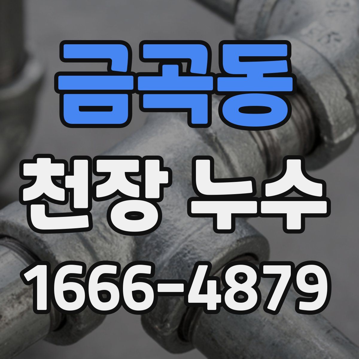 금곡동 천장 누수