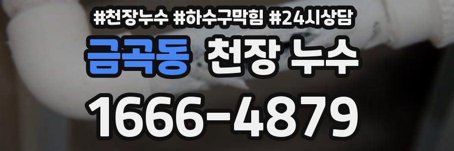 금곡동 천장 누수