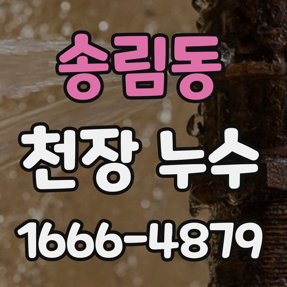 송림동 천장 누수