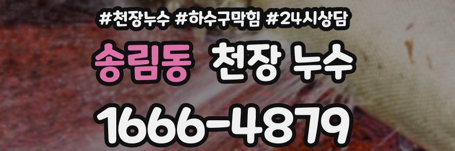 송림동 천장 누수