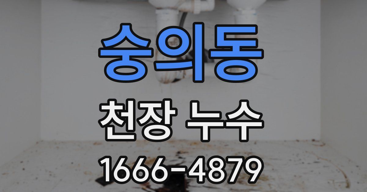 숭의동 천장 누수