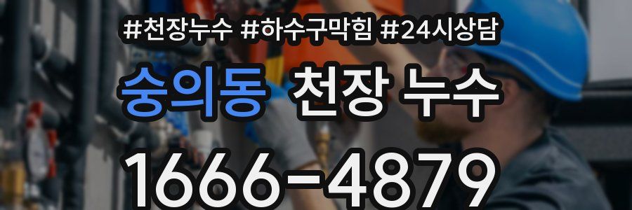 숭의동 천장 누수