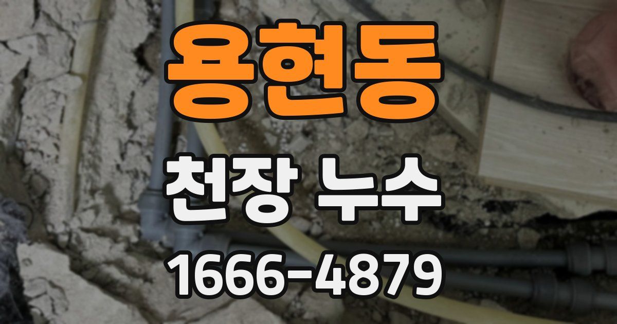 용현동 천장 누수