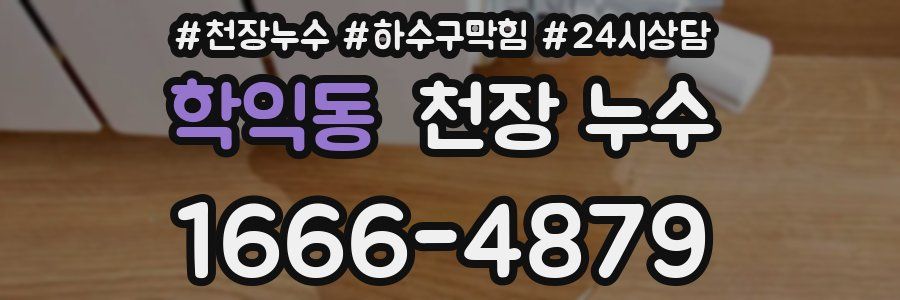 학익동 천장 누수