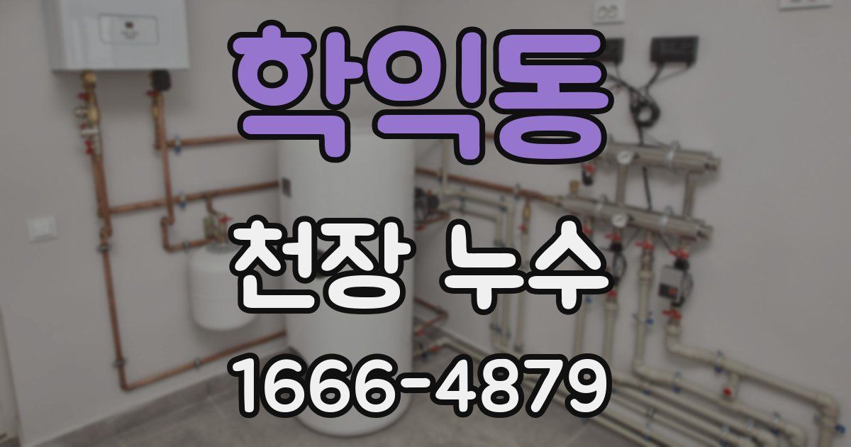 학익동 천장 누수