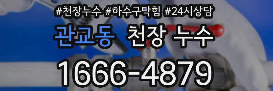 관교동 천장 누수