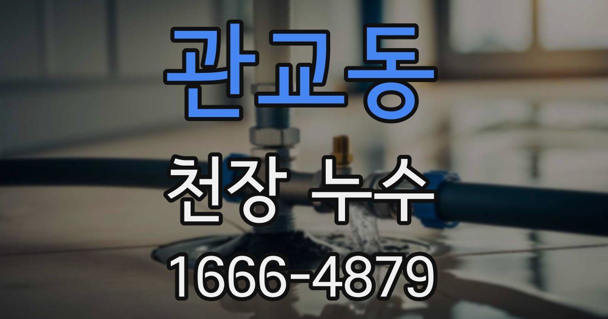 관교동 천장 누수