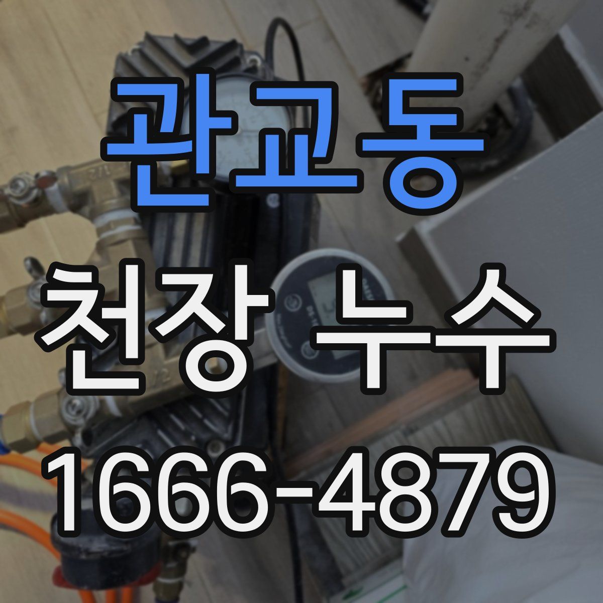 관교동 천장 누수