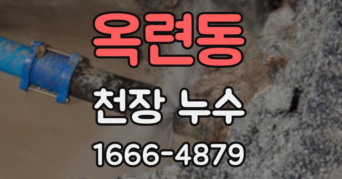 옥련동 천장 누수