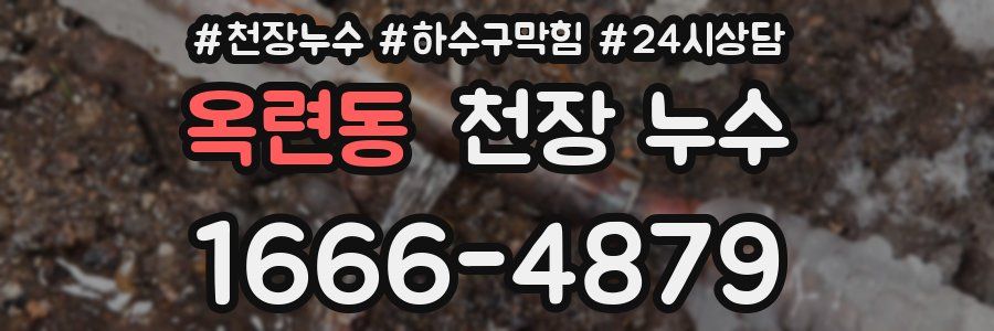 옥련동 천장 누수