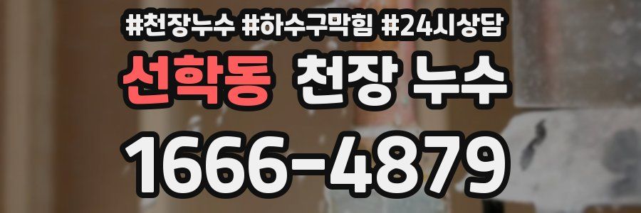 선학동 천장 누수