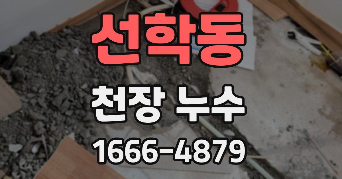 선학동 천장 누수