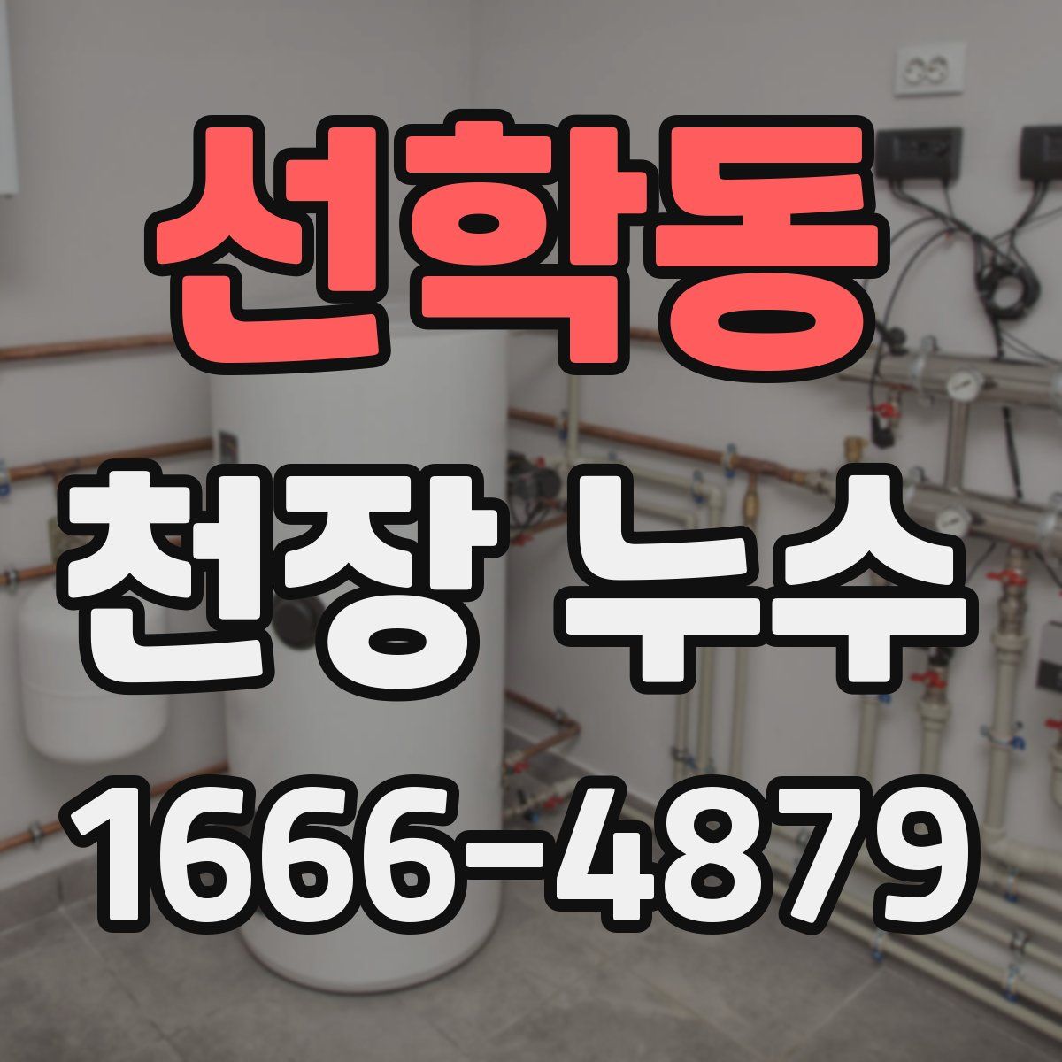 선학동 천장 누수