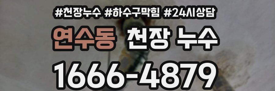 연수동 천장 누수