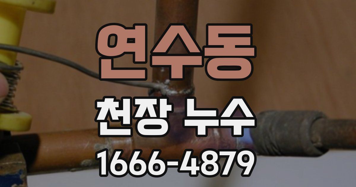 연수동 천장 누수