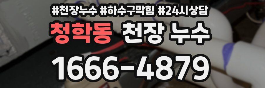 청학동 천장 누수