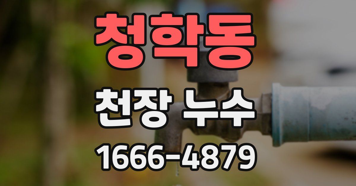 청학동 천장 누수