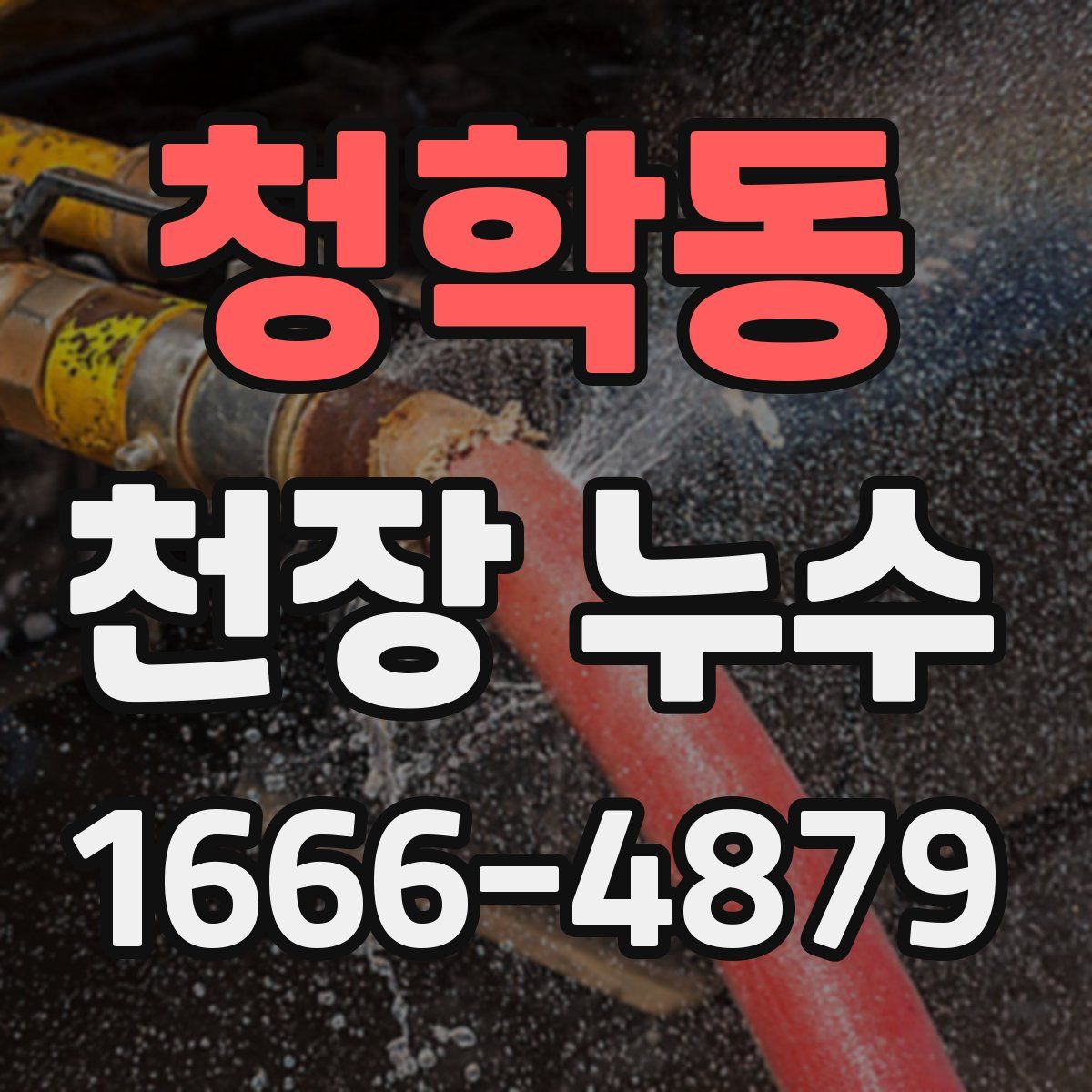 청학동 천장 누수