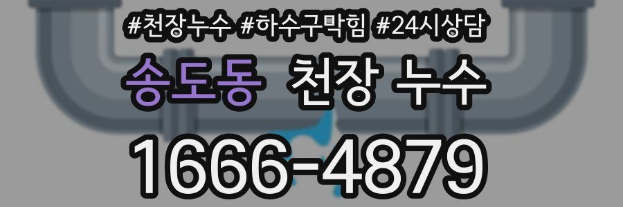 송도동 천장 누수