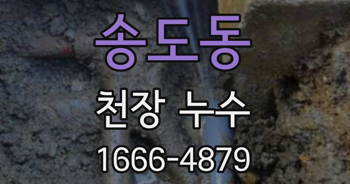 송도동 천장 누수