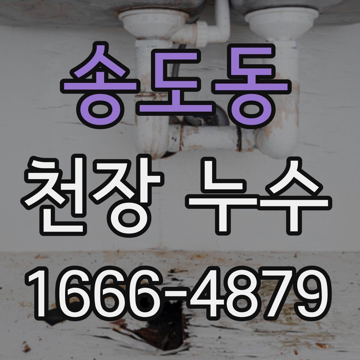 송도동 천장 누수