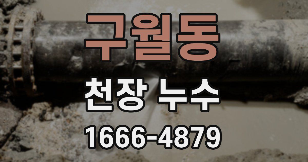 구월동 천장 누수