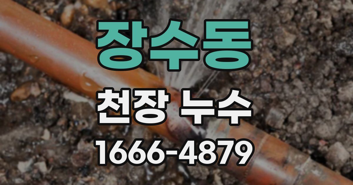 장수동 천장 누수