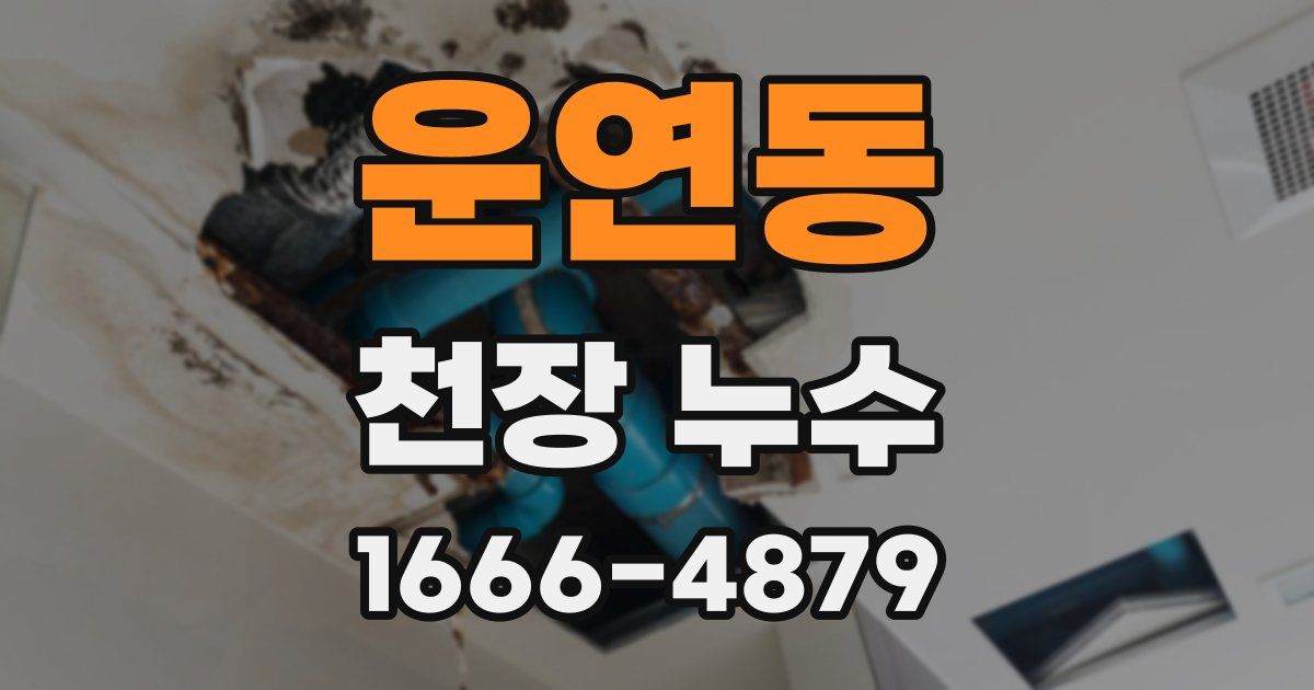 운연동 천장 누수
