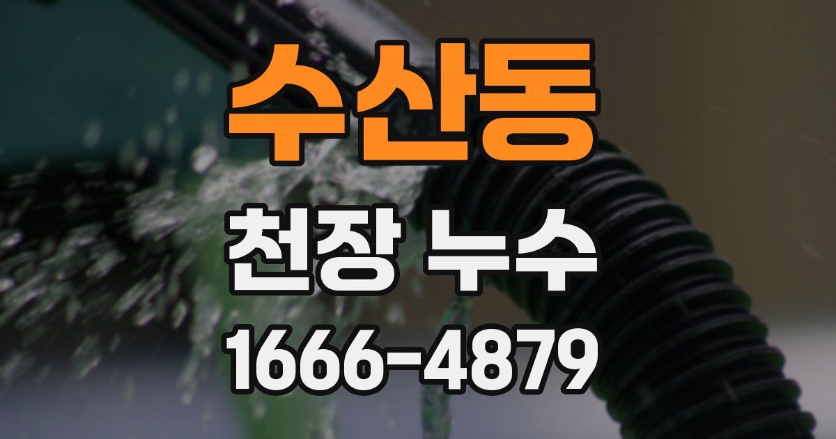 수산동 천장 누수