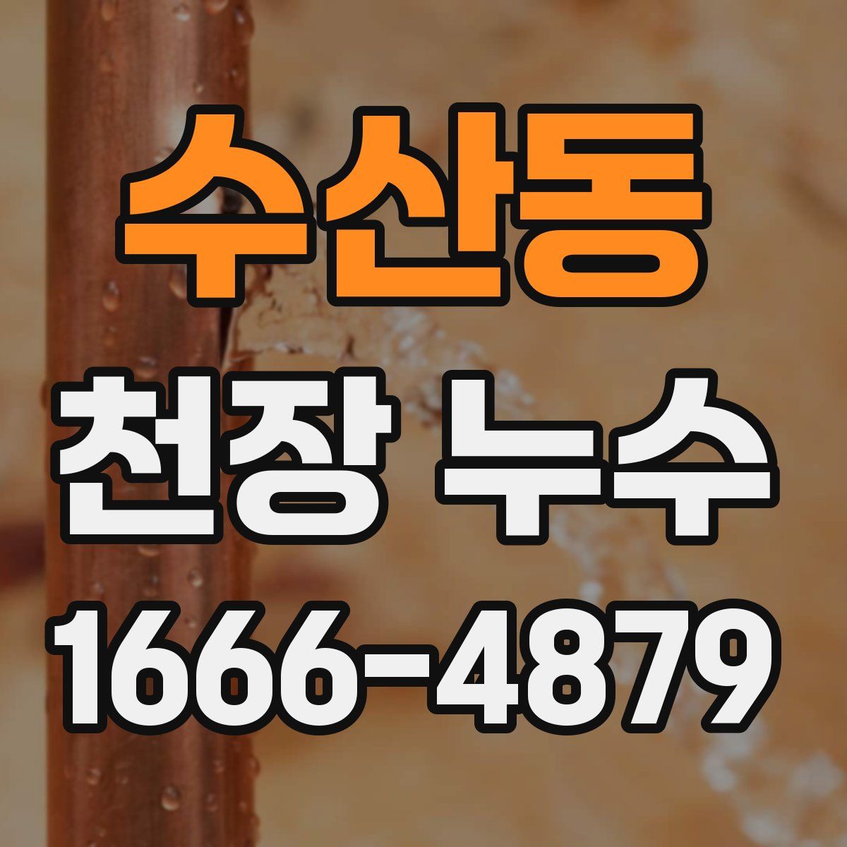 수산동 천장 누수