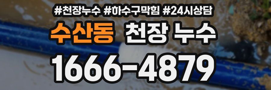 수산동 천장 누수