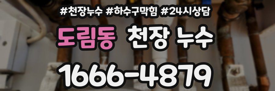 도림동 천장 누수