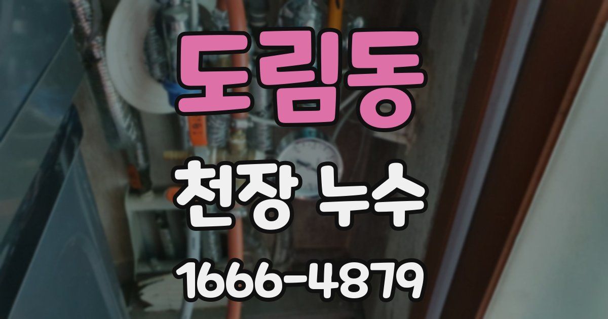 도림동 천장 누수