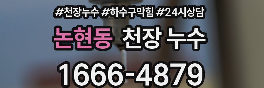 논현동 천장 누수