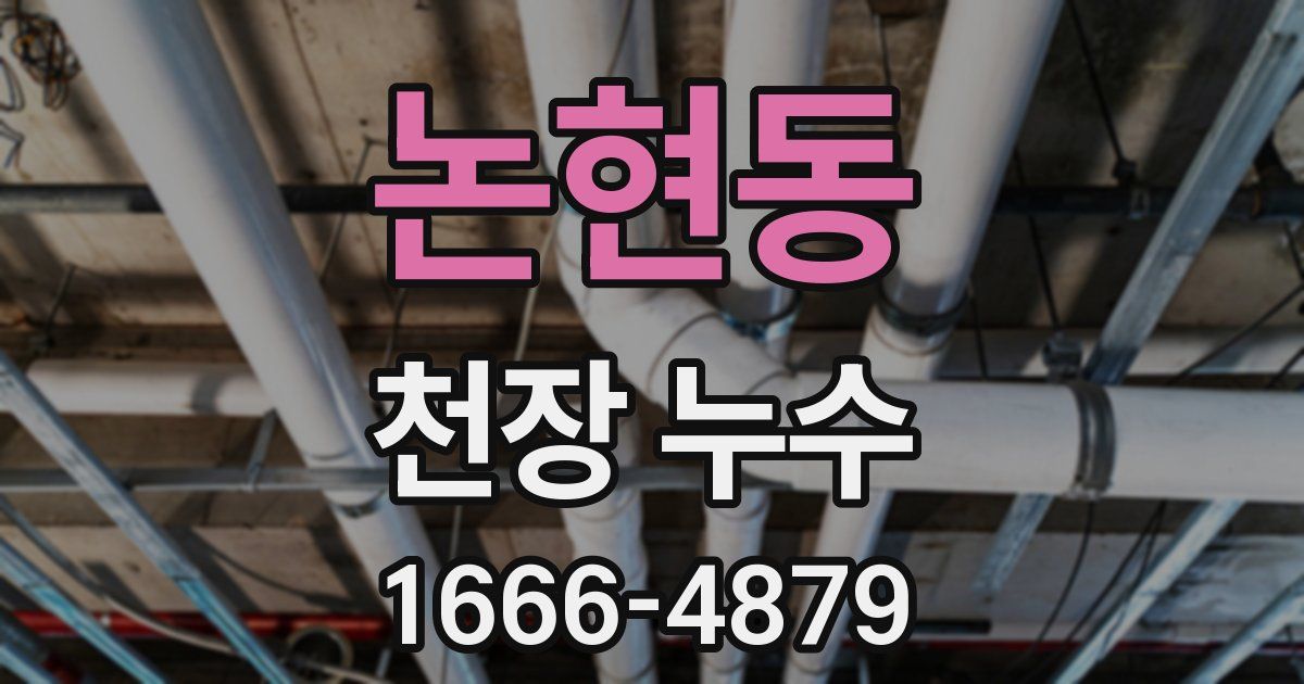 논현동 천장 누수