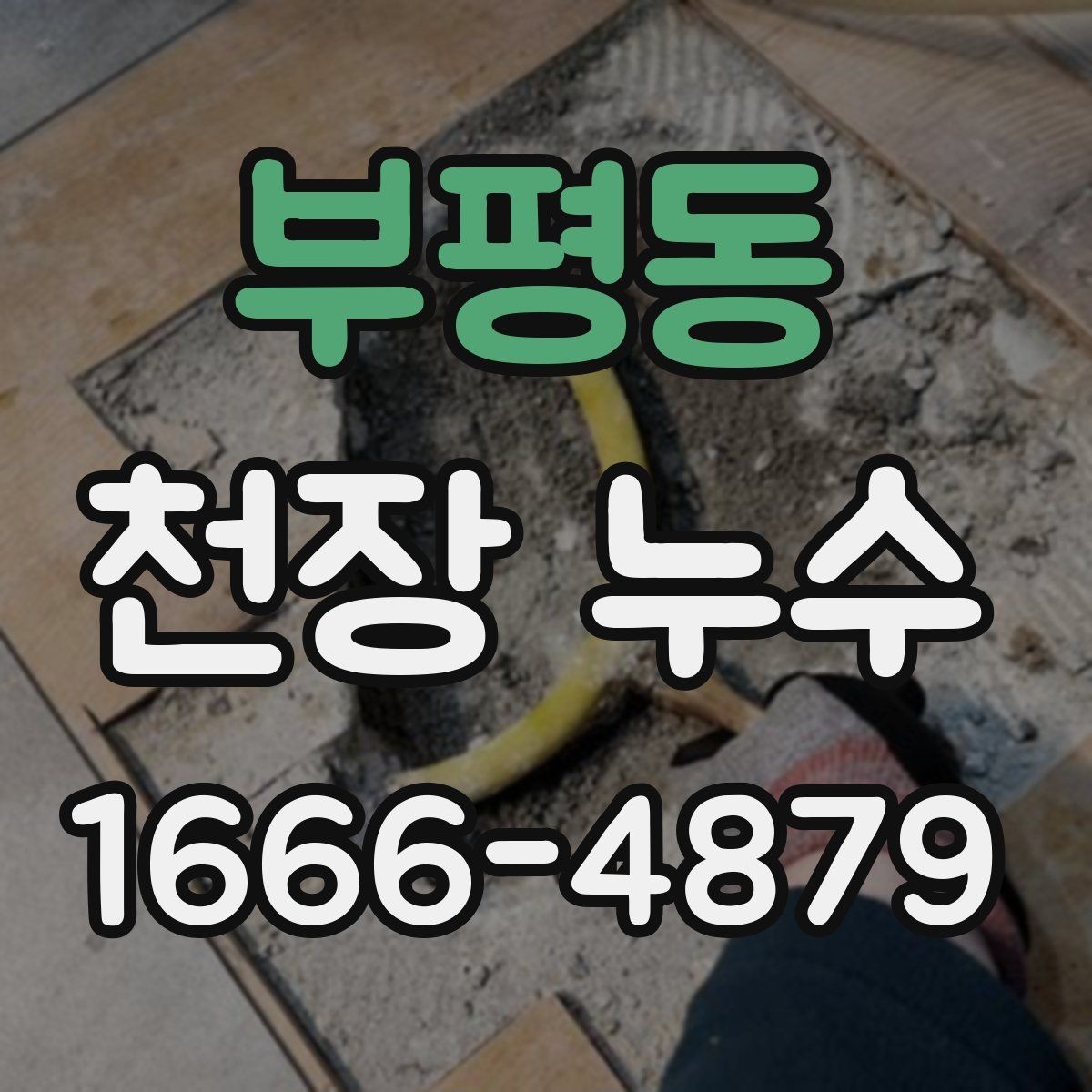 부평동 천장 누수 조명 커버 안쪽에 물방울이 맺히면 즉시 조치