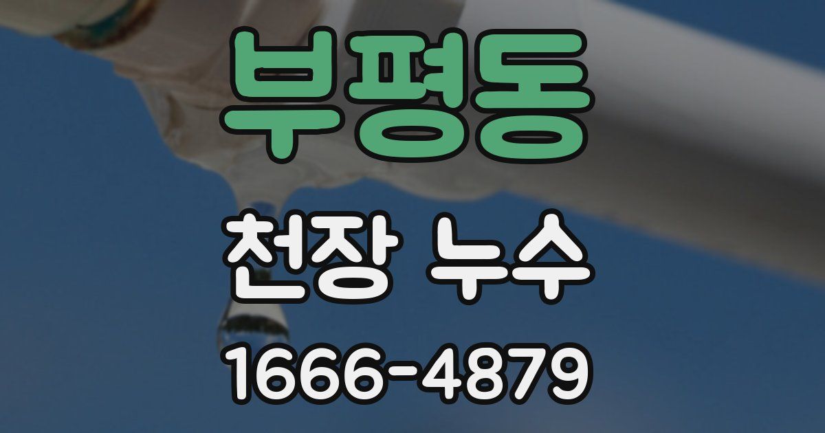 부평동 천장 누수