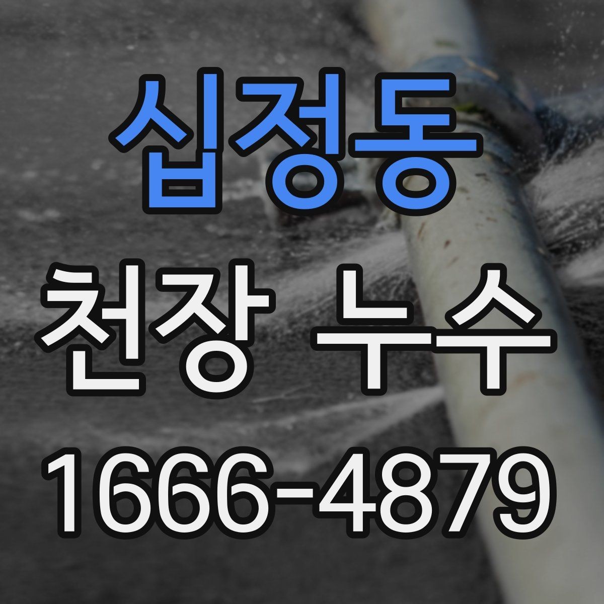 십정동 천장 누수 천장 곰팡이가 갑자기 늘었다면 원인 확인