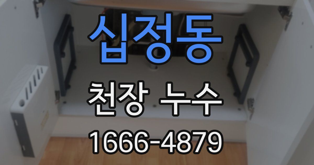 십정동 천장 누수