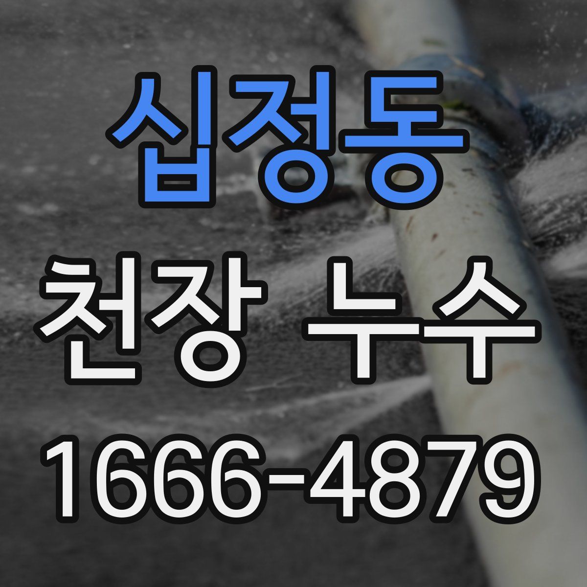 십정동 천장 누수