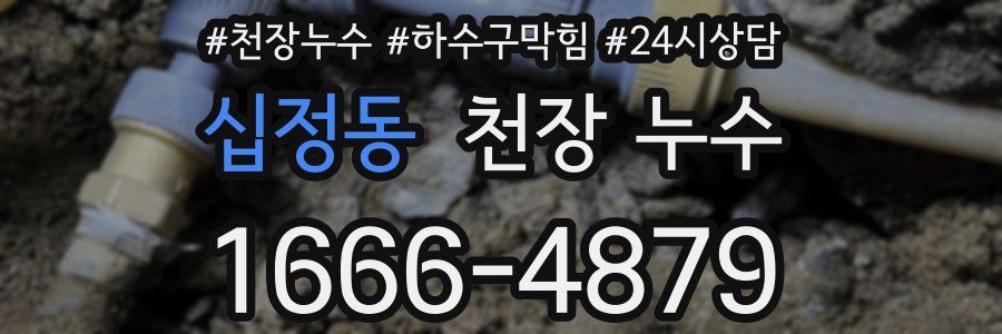 십정동 천장 누수