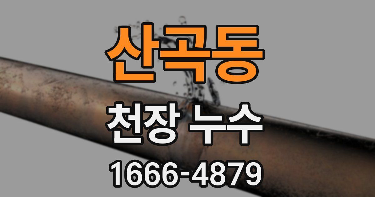 산곡동 천장 누수