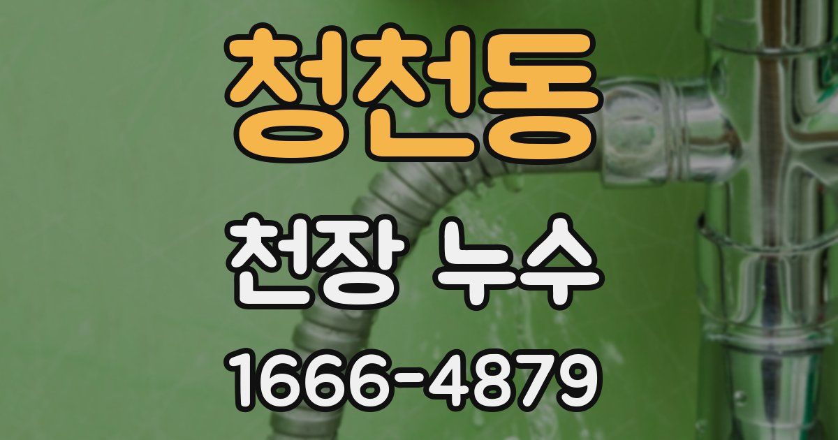 청천동 천장 누수